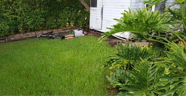 Homeless man sleeping peacefully at the Royal Poinciana Condominiums.