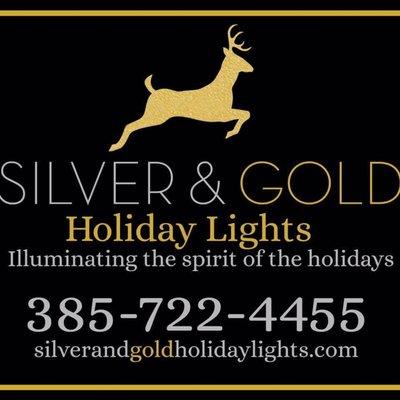 Silver & Gold Holiday Lights