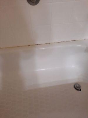 Mold in tub