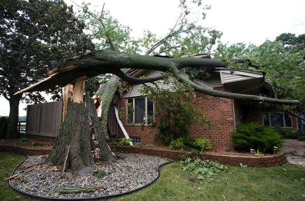 Storm damage? A-1 Restoration Inc. can help!