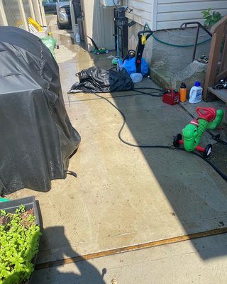 Before results of backyard walkway cleaning