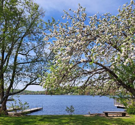 The view from our front lawn over to Kauneonga Lake, May 2023