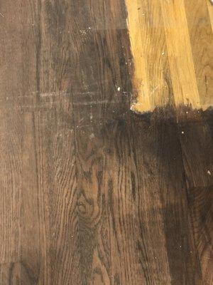 Regency Hardwood Floors