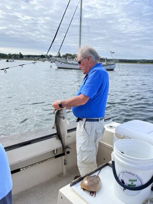 Agawam Boat Charters