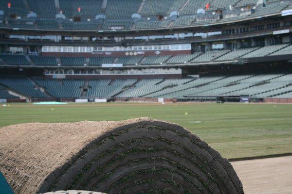 Oakland Coliseum