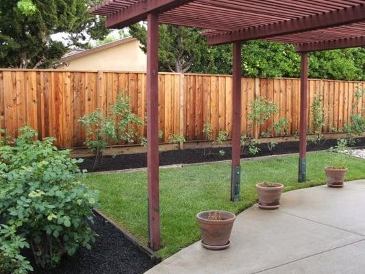 Redwood Fence after pressure washing