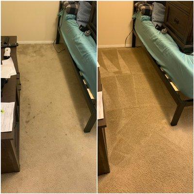 Pet stain and odor carpet cleaning San Antonio Tx