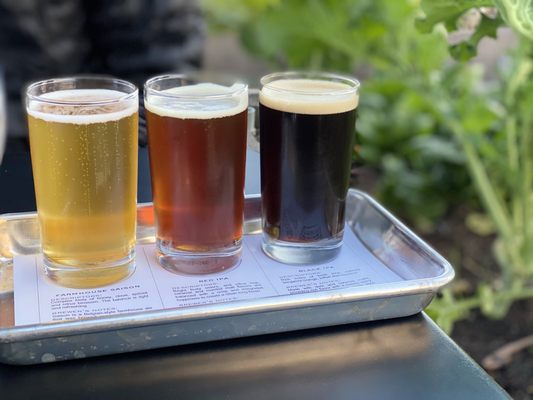 Beer flight