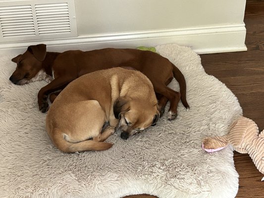 Lucy and Charlie one week after their first meeting.