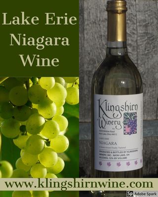 Try our locally sourced Lake Erie Niagara wine. It's fruity aroma will remind you of summertime.