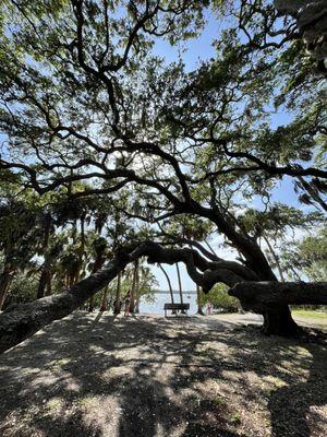 Abercrombie Park