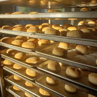 Fresh flaky biscuits hand rolled and cut daily.