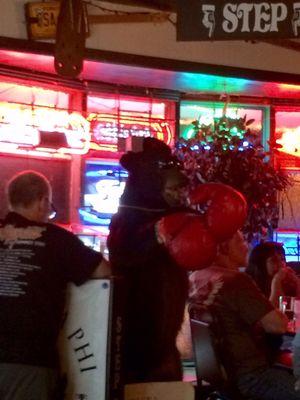 Yes, that is a bear wearing sunglasses and boxing gloves