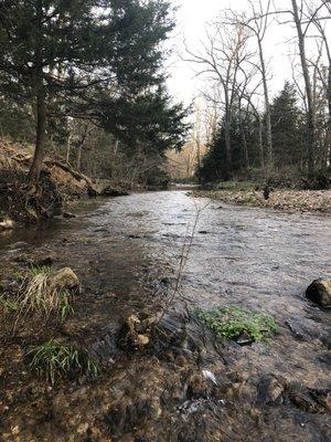 Stroll on down to Beaver Creek which is accessible from the RV Park.