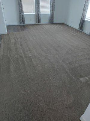 We love to get carpets clean!