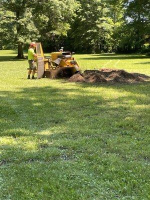 Getting the this huge stump.