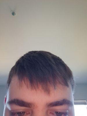 Atrocious haircut from inexperienced barber at Sports Clips in Del Mar. Its all crooked, nothing matches. Never going back.