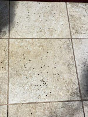 Kitchen Floor Grout Lines Post Clean. 
Deep and detailed Floor Cleaning