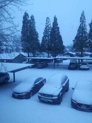 Snow in Hillsboro 2-13-2021.