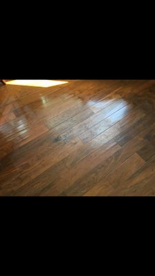 Wood Floor Refinish Before