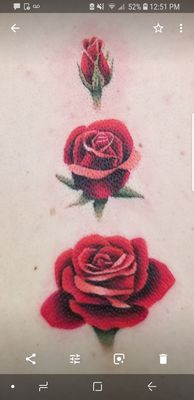 Three roses I got along my spine. This was taken immediately after Sean finished. BEAUTIFUL! I'm in love with my first tattoo