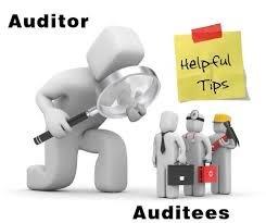 Auditor