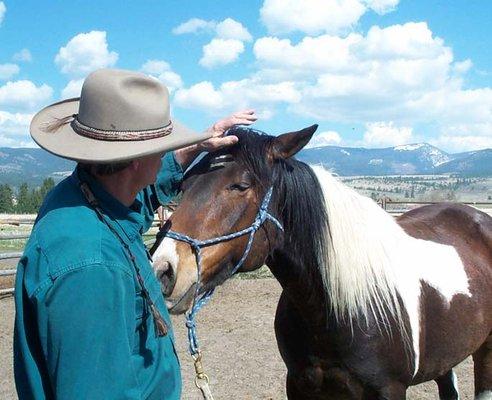 The horse whisperer