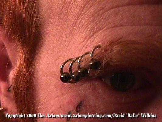 Eyebrow Piercings by DaVo