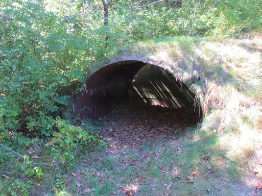 Part of the artillery battery