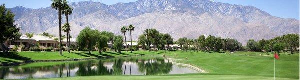 Desert Princess Palm Springs      A great place to live      A great place to visit