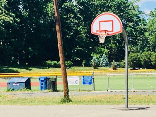 Basketball court