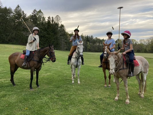 Polo for youth and adults all ages