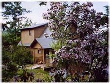 One of our 2 bedroom 2 bath with the Mountain Laurel in bloom.