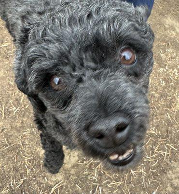 Bailey taking a selfie at Jewel Park