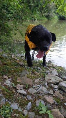 Miss Sadie loves being out at the Lake.