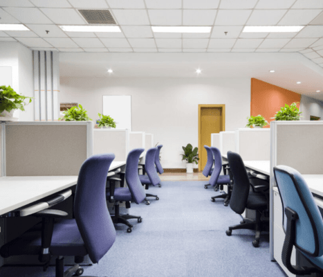 Lewis Carpet and Office Cleaning