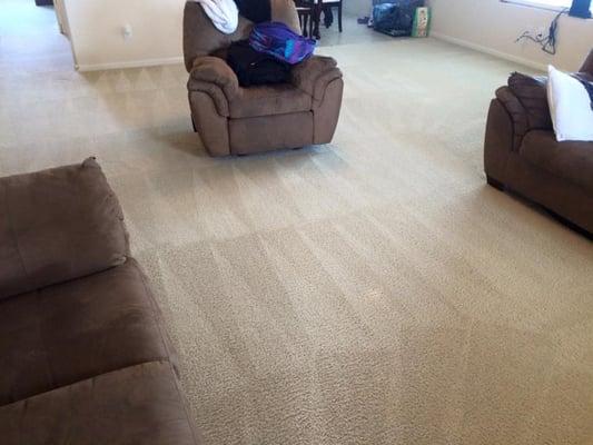 Sunshine Carpet Cleaning Services