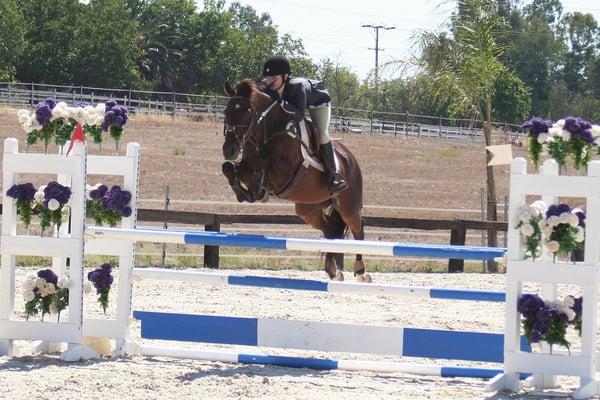 Trainer, Johanna Merager, competing locally at Leone Equestrian