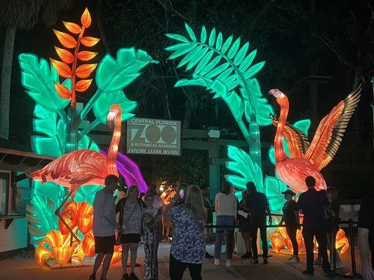 Asian Lantern Festival Into the Wild at Central Florida Zoo