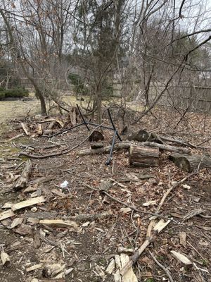 Stumps tree splinters after the work was "completed" won't come back to finish. Kids play here which was the primary concern for hiring him.