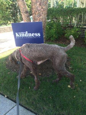 Watson inspects Del Ray's new "Kindness" campaign poster.