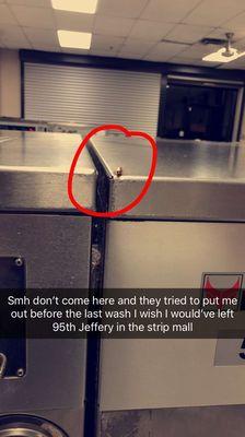 They lie about their hours and try to put customers out because they want to close early but got the nerve to have roaches. Never again!!!