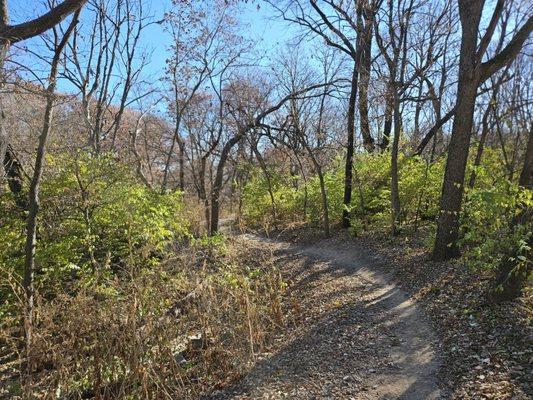 Hiking trail