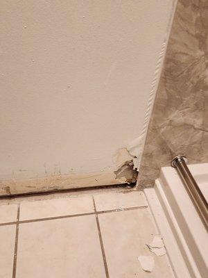 Post mold remediation