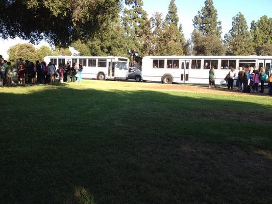 Standing in the shade for a bit. Look for these shuttles.