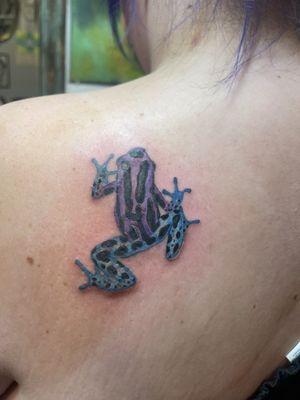 Poison dart frog