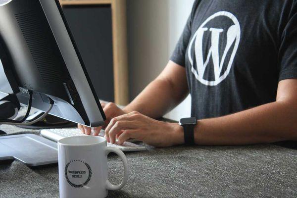 WordPress Design and Development