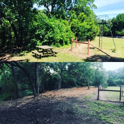 Forestry Mulching before and after.