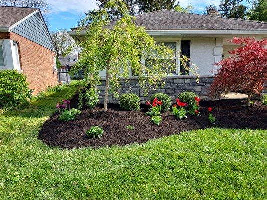 Landscape complete with mulch placement 
After