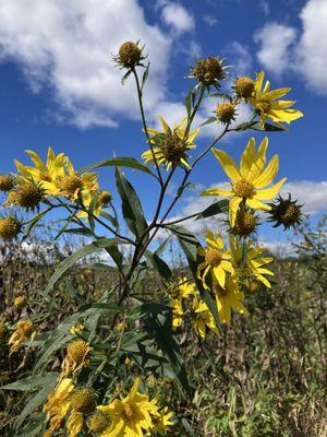 Prairie Winds Nature Farm